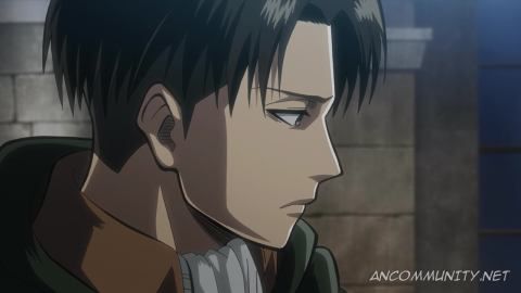 What Does Levi Think Of You? - Quiz | Quotev