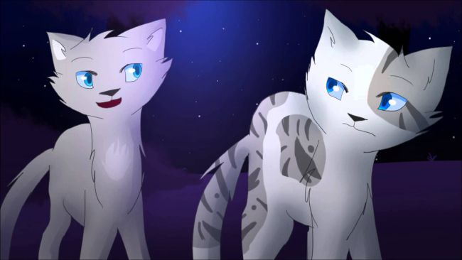 Ashfur!, Warrior Cats Got Talent!