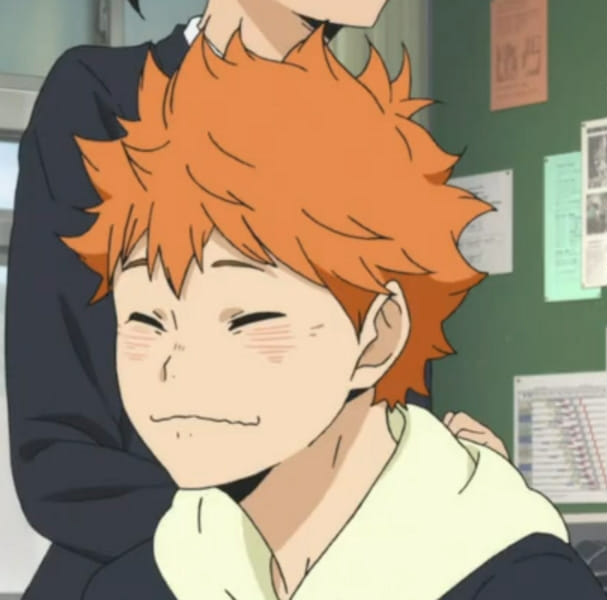 Can You Guess Shoyo Hinata's Nicknames? Test Quotev