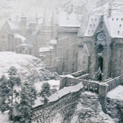 Your Yule Ball Date: Lesbian Edition - Quiz | Quotev