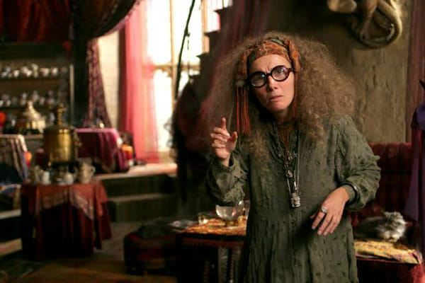 I feel like we don't talk about Trelawney enough