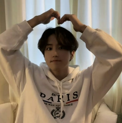 Do You Know the Stray Kids Members? - Test | Quotev