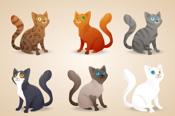 What Color of Cat are you? - Quiz | Quotev