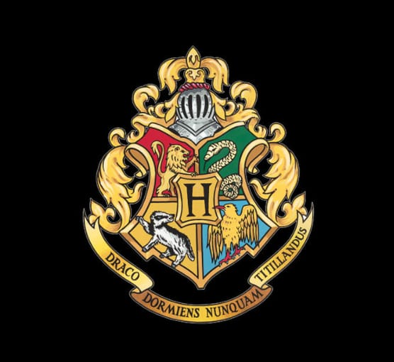 Hogwarts House Survey Poll