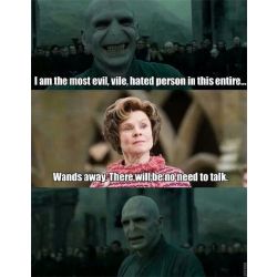 Harry Potter Memes  Try not to Smile 