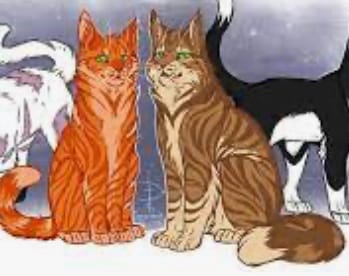 Firestar design - Warriors Cats by AngelDalet on DeviantArt