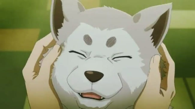 Cute Anime Dogs GIFs | Tenor