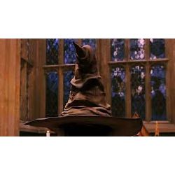 The Sorting Hat - Quiz | Quotev