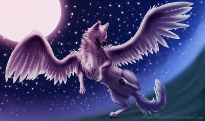 purple wolf with wings