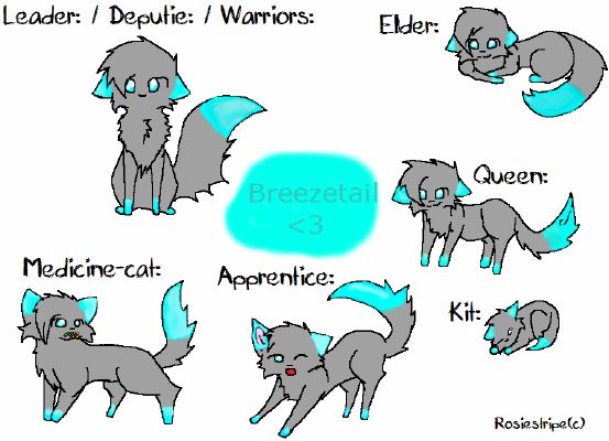 Warrior Cats: Names, Warrior Cats Guide