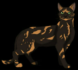 Warrior Cats Rp Quizzes Warrior Cats Rp Quizzes