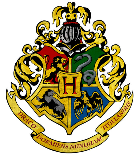 Hogwarts life in Marauders era | [Chapter 1] Part 1 - Hogwarts ...