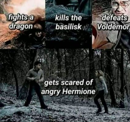 Hermione's angry face, Harry Potter memes