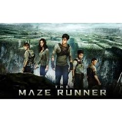 Maze Runner Life - Quiz | Quotev