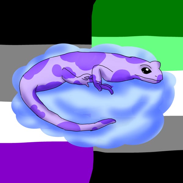 Salamandercloud quotev