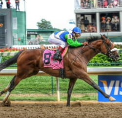 Horse Racing Testing Horse Racing Test - Test | Quotev