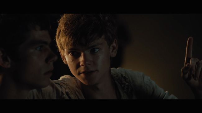 Newt makes Thomas a Runner [The Maze Runner] 