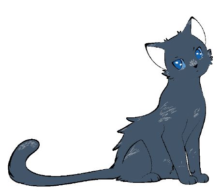 Bluestar Ships, Warrior Cat Ship Rants