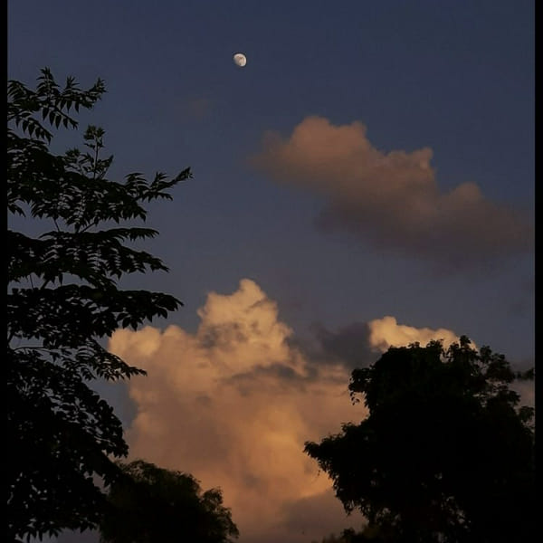 What Time Are You? Quiz Quotev