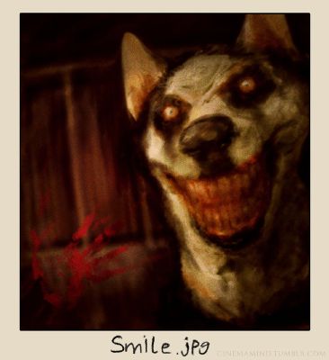 when was smile dog made