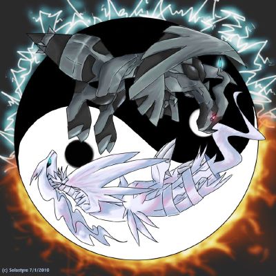 Reshiram Vs Zekrom