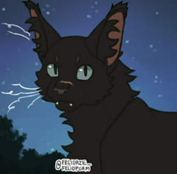 Does Nightstar Like You? - Quiz 