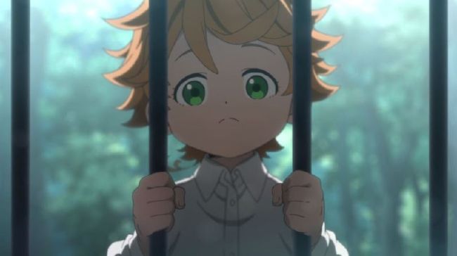 The Promised Neverland on X: Ray - The only one at the Grace Field House,  who is as intelligent and can measure up to Norman.   / X