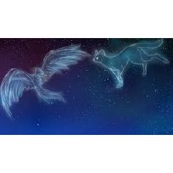 Warrior Cats Knowledge Test Test Quotev