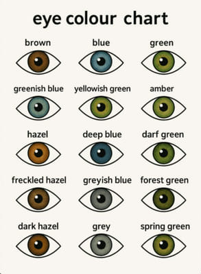 Do you fit Turkish beauty standards - Quiz | Quotev