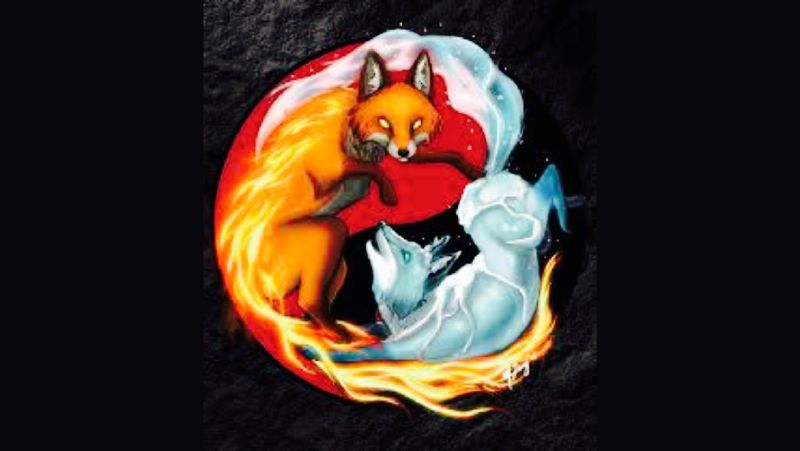 Phoenix | Quotev
