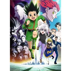 Hunter X Hunter Quiz Hard Test Quotev