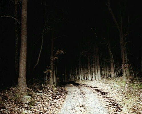 Which Creepypasta Finds You In The Woods Quiz Quotev