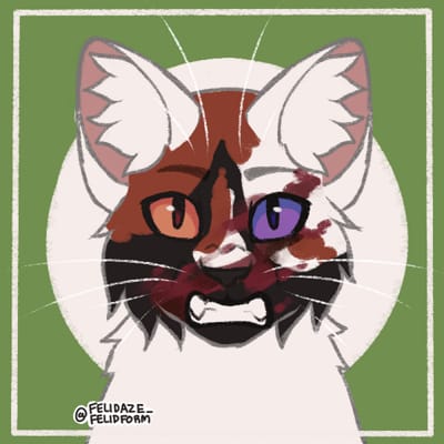 BITCH 【 Warrior cats Oc's meme 】 