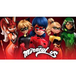 Which Miraculous Ladybug character are you? - Quiz | Quotev