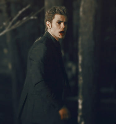 Chapter 29: The Masquerade Ball, Vampire Diaries (Sister of the  Salvatores)