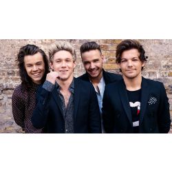 Which 1D Member Are You? - Quiz | Quotev