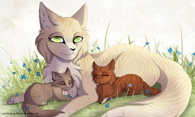 What Kind Of Cat Are You In Warrior Cats Quiz Quotev