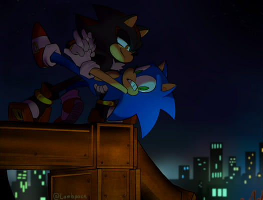 Don't Follow Me ((Sonic X Shadow One Shot))