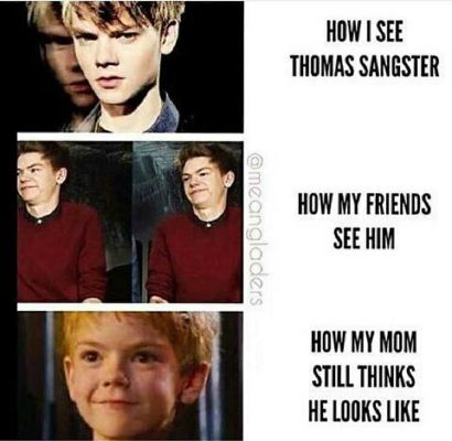 Thomas Brodie Sangster Quiz Test Quotev