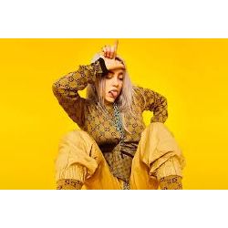 Guess The Lyrics Billie Eilish Edition Quiz Quotev