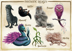 Which Fantastic Beasts Creature Should You Have Quiz