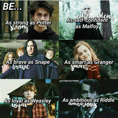 ron + draco + snape =, Harry potter memes