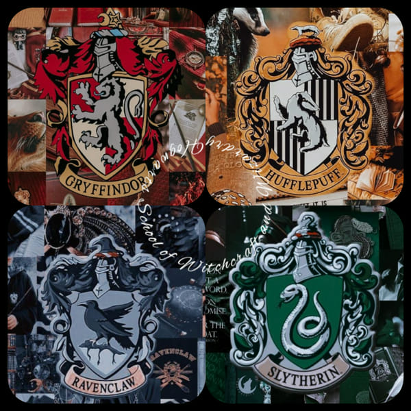 What is Your Hogwarts House - Quiz | Quotev