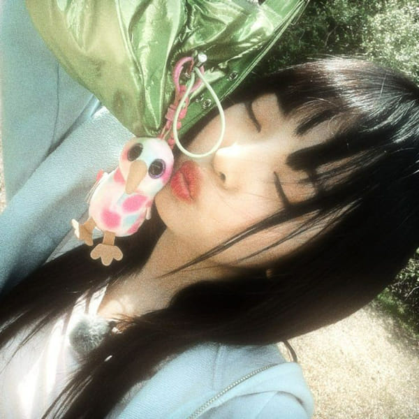 Which colour should i dye my hair? Poll Quotev