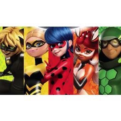 Guess the Miraculous Ladybug Character - Test | Quotev