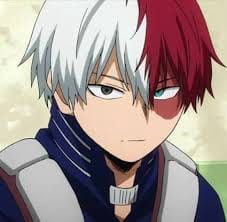 New Todoroki Shouto Quizzes