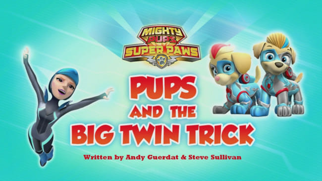 Paw patrol new twin 2024 pups