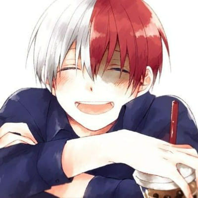 Write a Letter to Shoto Todoroki! - Quiz | Quotev