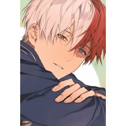 Would Todoroki Shoto Date You Quizzes Would Todoroki Shoto Date You Quizzes