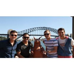 What Do The Big Time Rush Guys Think Of You Quiz Quotev